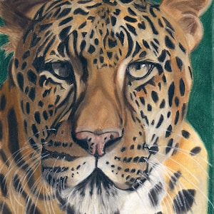 Leopard Art Print, Wildlife Decor, Exotic Animal Art - Fine Art Giclee Print of an Original Pawstel
