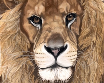 Lion Art Print, Wildlife Decor, Aslan the Lion - Fine Art Giclee Print of an Original Pawstel