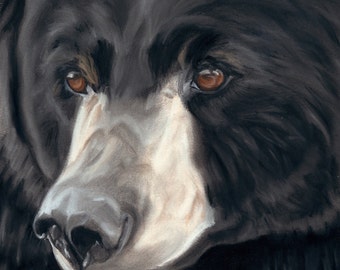 Black Bear Art Print, Wildlife Art, Cabin Decor, Animal Lover Gift - Fine Art Giclee Print of an Original Pawstel