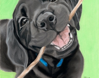 Könnte beinhalten: Ein schwarzer Labrador Retriever-Welpe mit einem verspielten Ausdruck, der einen Stock im Maul hält. Der Welpe schaut direkt auf den Betrachter, mit herausgestreckter Zunge. Der Hintergrund ist hellgrün.
