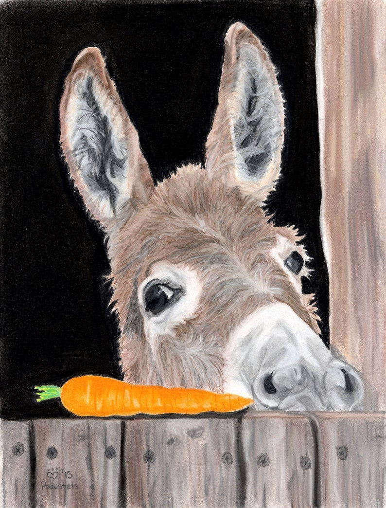 Donkey Art Print, Carrot Art, Donkey Decor Fine Art Giclee Print of an Original Pawstel image 1