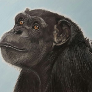 Chimpanzee Art Print, Monkey Art and Decor, Annie the Chimp Portrait Fine Art Giclee Print of an Original Pawstel image 1
