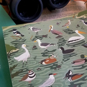 River Birds Sticker Sheet | Nature-Themed Stationary | Gift for Birdwatcher or Ornithologist