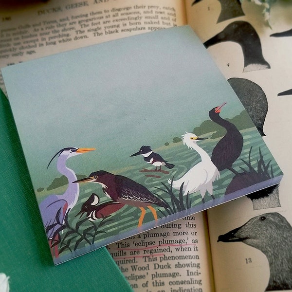 River Birds Memo Pad | Nature-Themed Stationery | Gift for Birdwatcher or Ornithologist