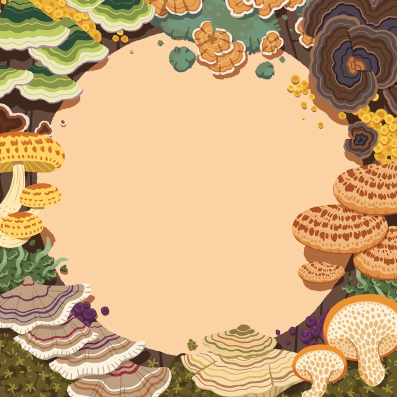May include: An illustration featuring a variety of colorful mushrooms and fungi, including bracket fungi, toadstools, and other types. The mushrooms are in shades of brown, orange, yellow, green, and purple, arranged around a central, light-brown, circular space.