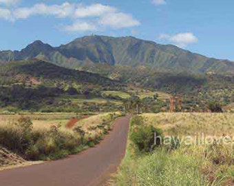 Kaala & ruins 12x36 or 8x24  Hawaii panorama photograph, Oahu