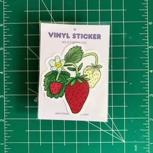 Sticker FRAISE | Preuve des intempéries | Stratifié brillant |