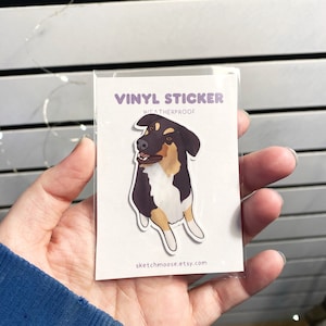 Sticker mélange berger border collie | Preuve des intempéries | Stratifié brillant | Animal de compagnie | autocollant chien | Miley