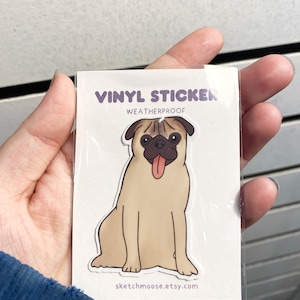Sticker Carlin | Preuve des intempéries | Stratifié brillant | Animal de compagnie | autocollant chien |