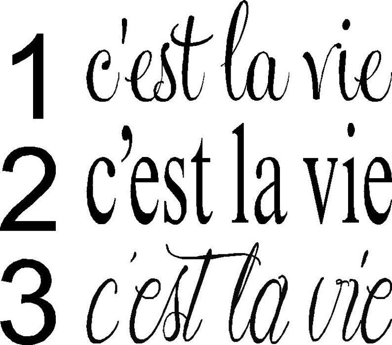 C'est La Vie Wall Decal, That's Life Wall Decal, Quote Wall Decal, French Wall Decal image 3