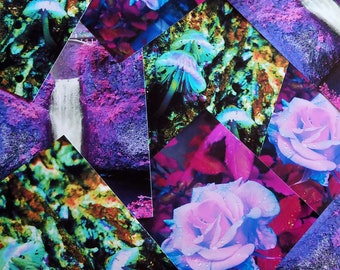 Prints - Rose, Waterfall, and Mushroom
