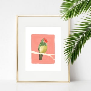 Australischer Sternfink Art Print / kleiner Vogel Wohnkultur / Tier Illustration Wandkunst / Mädchen Schlafzimmer Giclée-Druck Bild 1