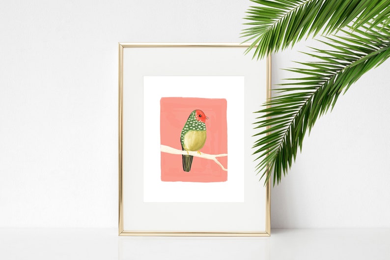 Australischer Sternfink Art Print / kleiner Vogel Wohnkultur / Tier Illustration Wandkunst / Mädchen Schlafzimmer Giclée-Druck Bild 1