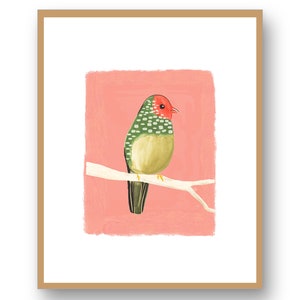 Australischer Sternfink Art Print / kleiner Vogel Wohnkultur / Tier Illustration Wandkunst / Mädchen Schlafzimmer Giclée-Druck Bild 2