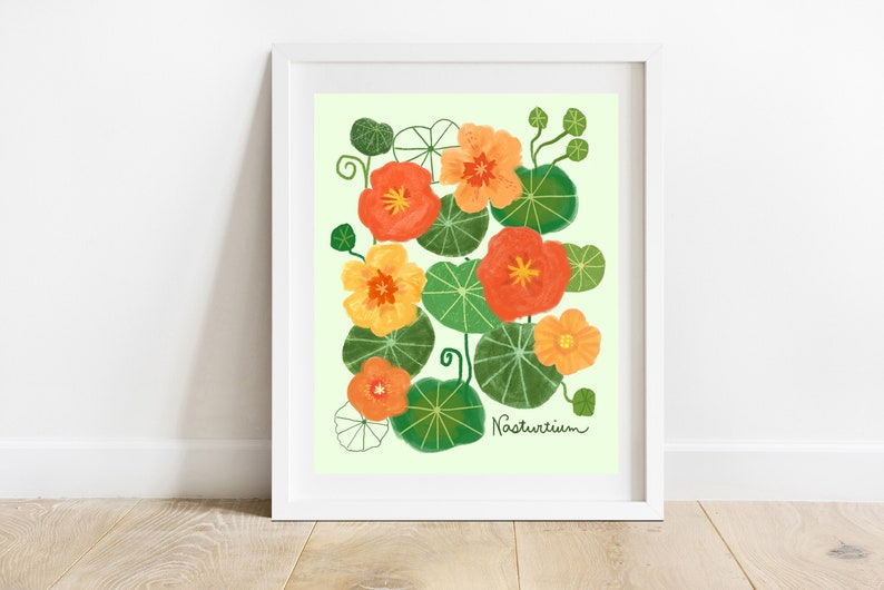 Nasturtium 8 X 10 Art Print/ Orange and Green Flower Illustration/ Botanical Still Life Wall Art/ Floral Mixed Media Decor image 1