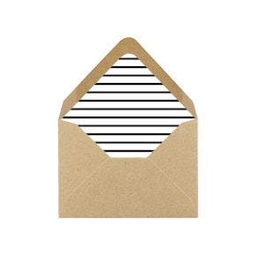 May include: A brown paper envelope with a black and white striped liner.