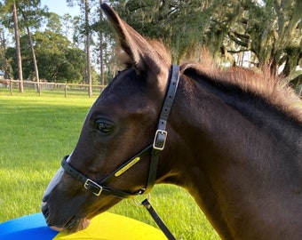 Custom Leather Foal Slip Halter with Engraved Nameplate - Made in the USA, Baby Horse Gift, New Foal Halter, Personalized Engraving
