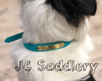 Peut inclure: Un chien portant un collier en cuir turquoise avec une plaque signalétique dorée. Le chien a des poils noirs et blancs. La plaque signalétique indique "Max The Rider". Le texte "Jc Saddlery" est au bas de l'image.