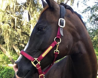 Padded Breakaway Nylon Horse Halter with Custom Brass Name Plate, Personalized Engraving