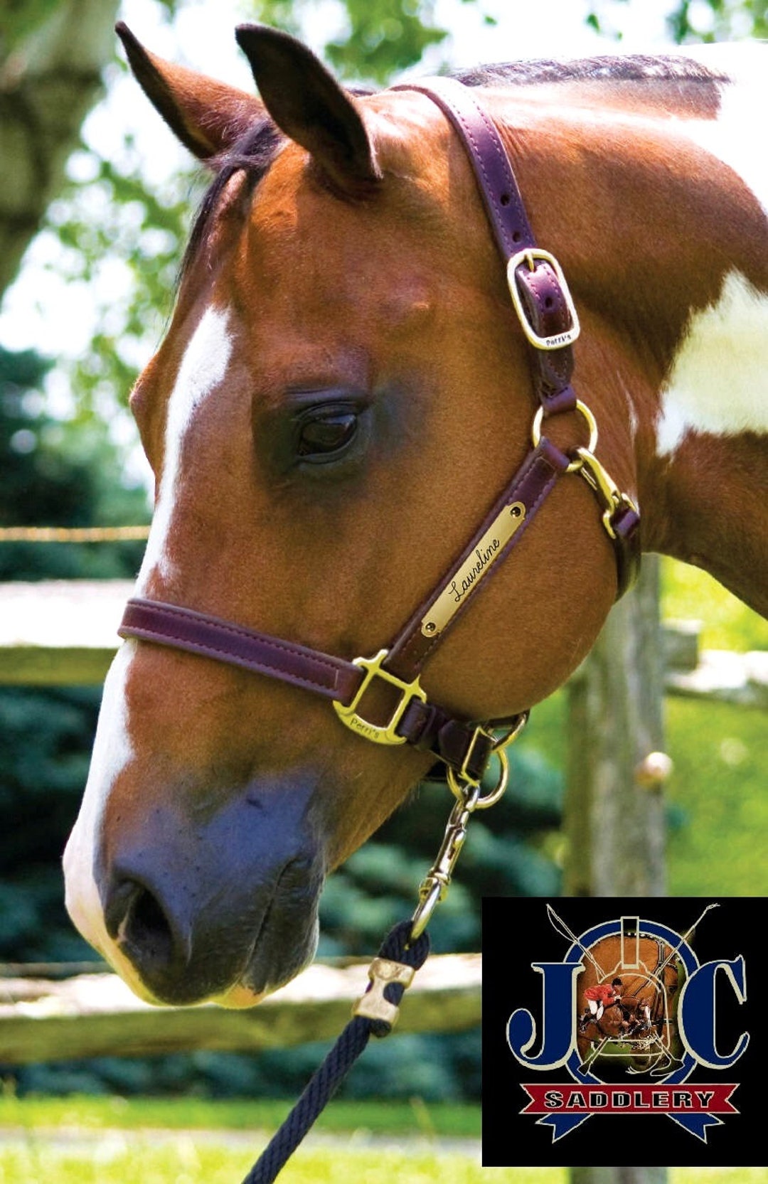 Leather Horse Halter With Custom Brass Nameplate Made in the USA Etsy