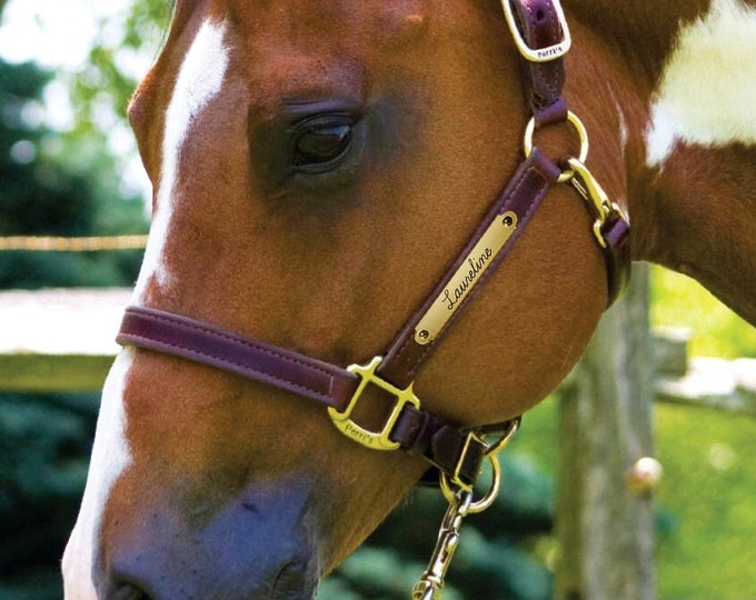Leather Horse Halter With Custom Brass Nameplate Made in the USA Etsy