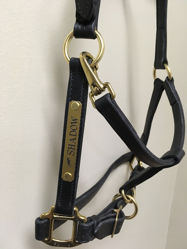 Leather Horse Halter with Custom Brass Nameplate Etsy