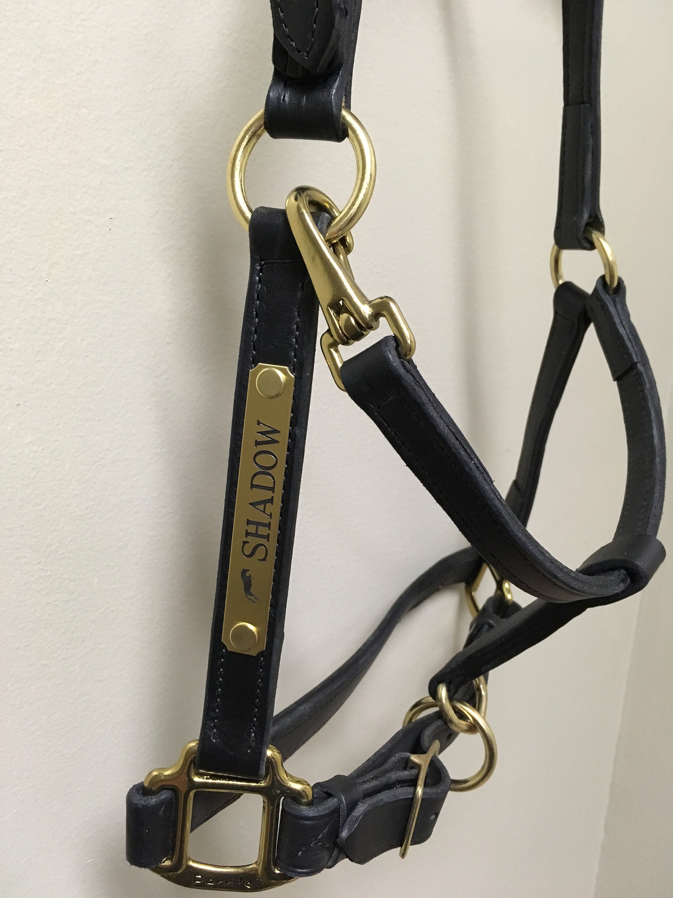 Leather Horse Halter With Custom Brass Nameplate Made in the Etsy