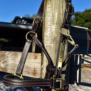 May include: A dark brown leather horse halter with brass hardware, featuring white stitching and the name "CASH" on a brass plate. The halter is hanging on a wooden post with "JC Saddlery" printed on it.