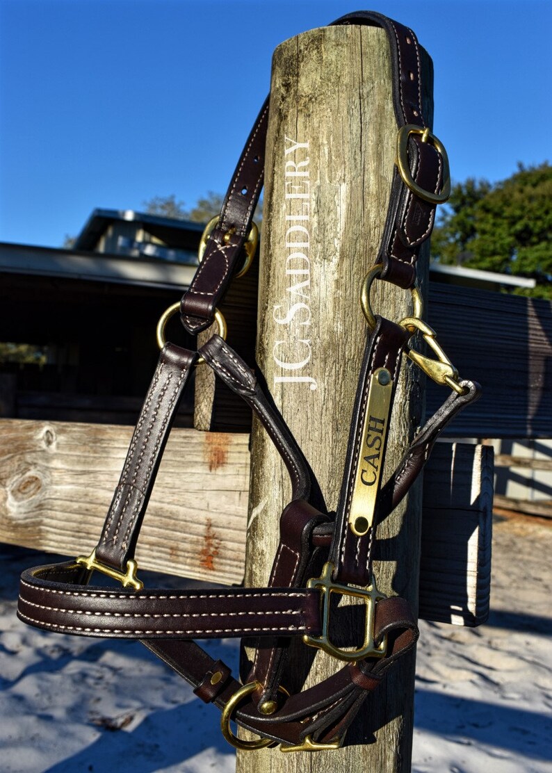 May include: A dark brown leather horse halter with brass hardware, featuring white stitching and the name "CASH" on a brass plate. The halter is hanging on a wooden post with "JC Saddlery" printed on it.