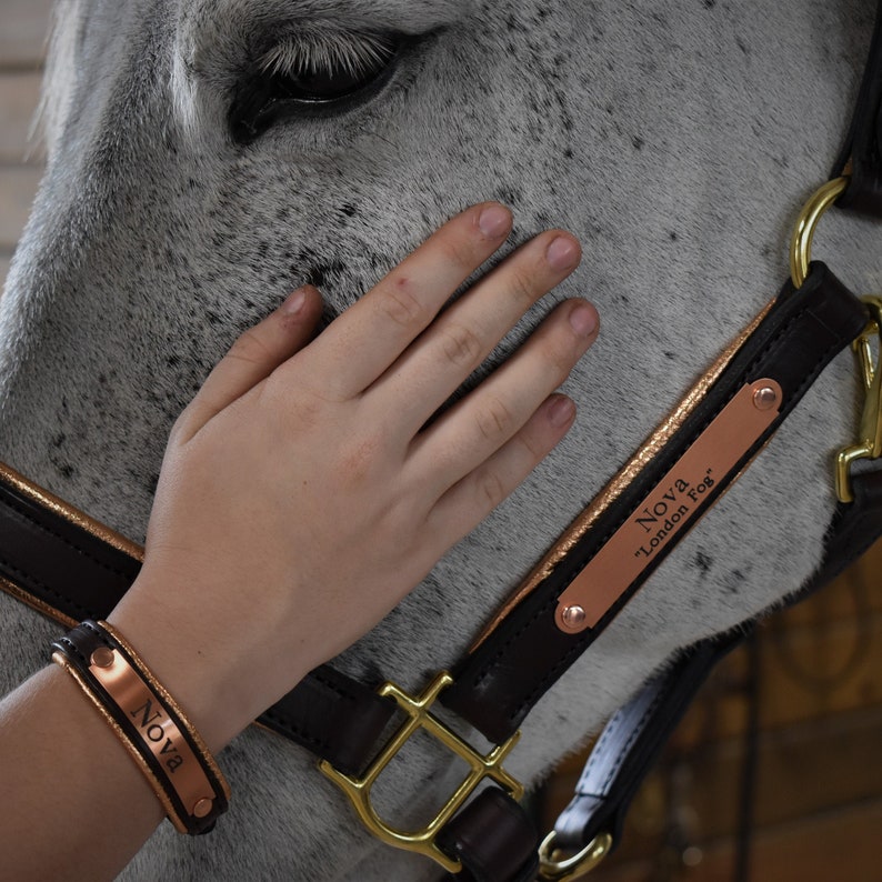 Custom Rose Gold Padded Leather Halter W/ Engraved Name Plate Etsy