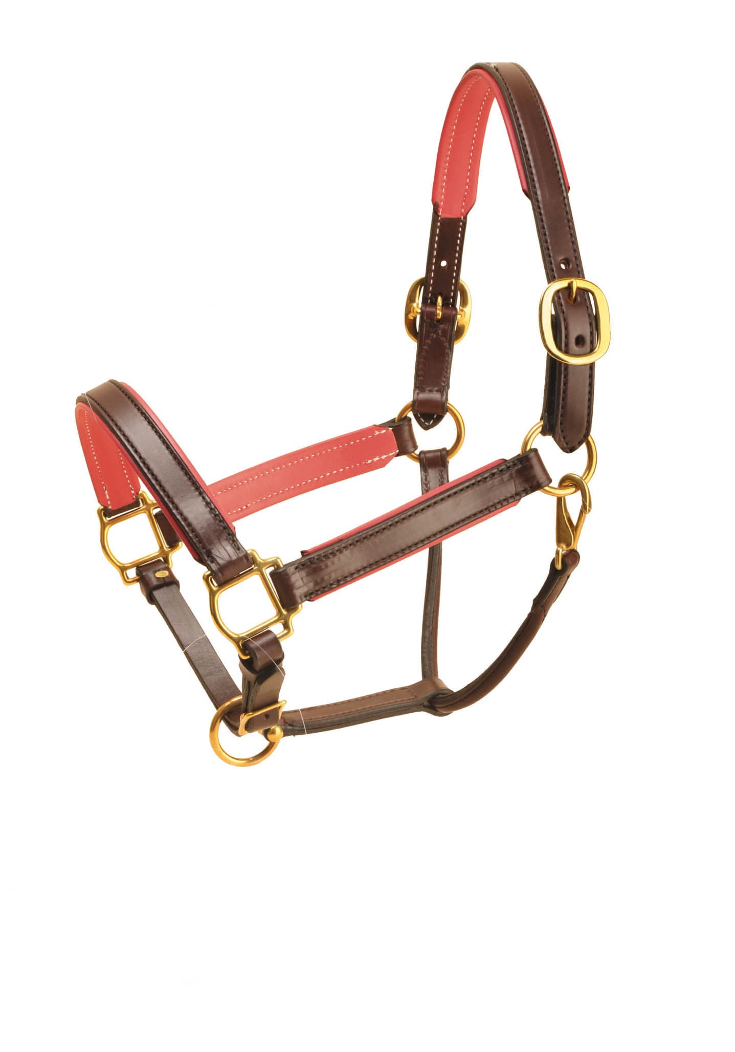 Soft Padded Leather Horse Halter With Custom Engraved Etsy