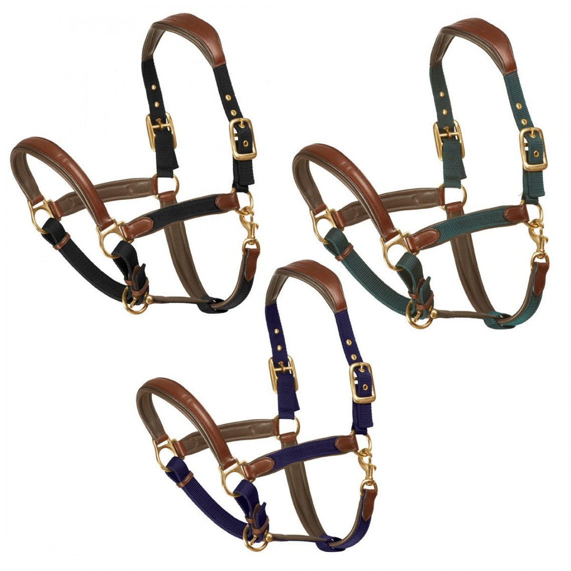 Luxor Breakaway Horse Halter With Custom Engraved Name Plate Etsy