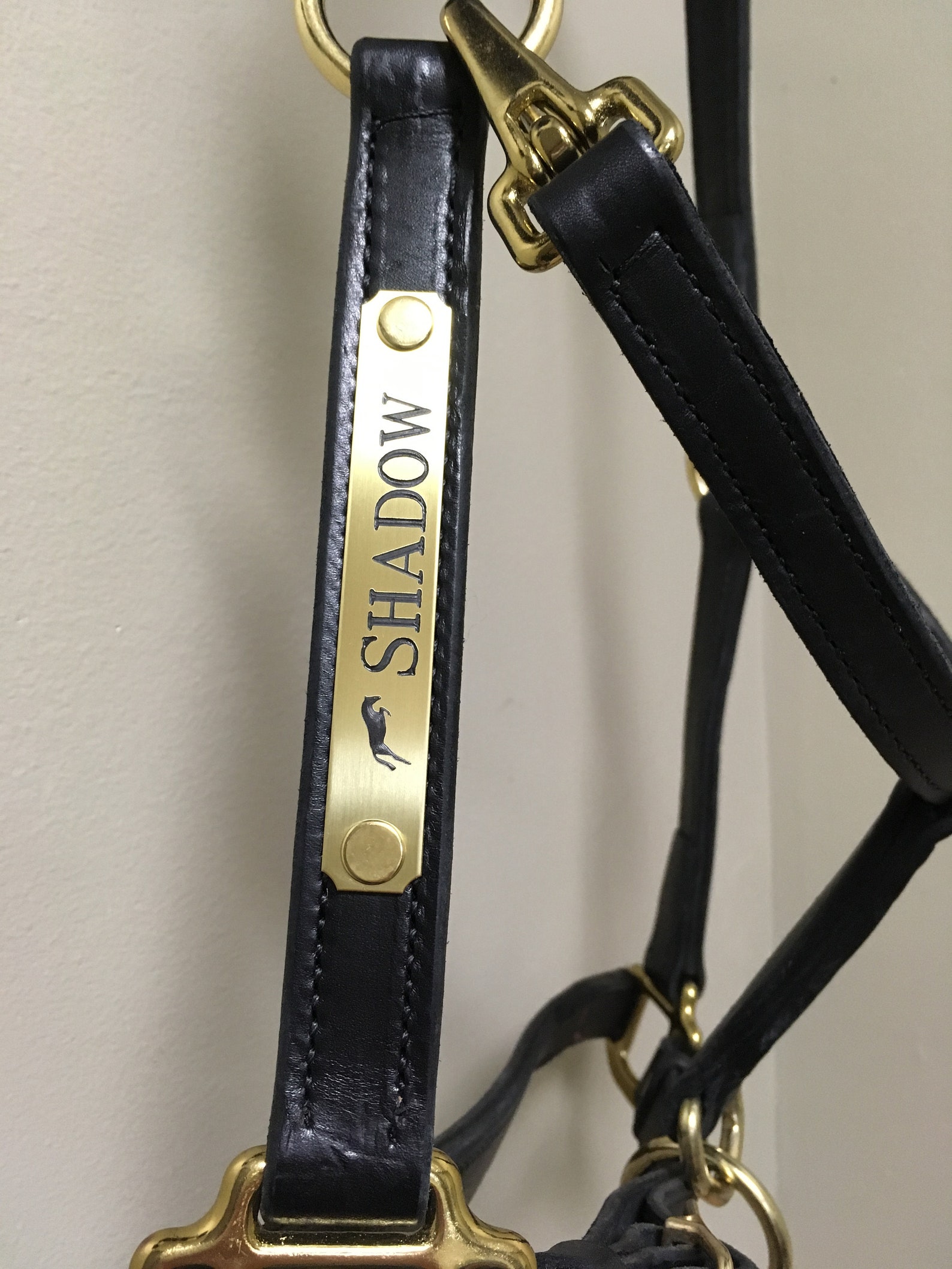 Leather Horse Halter with Custom Brass Nameplate Etsy