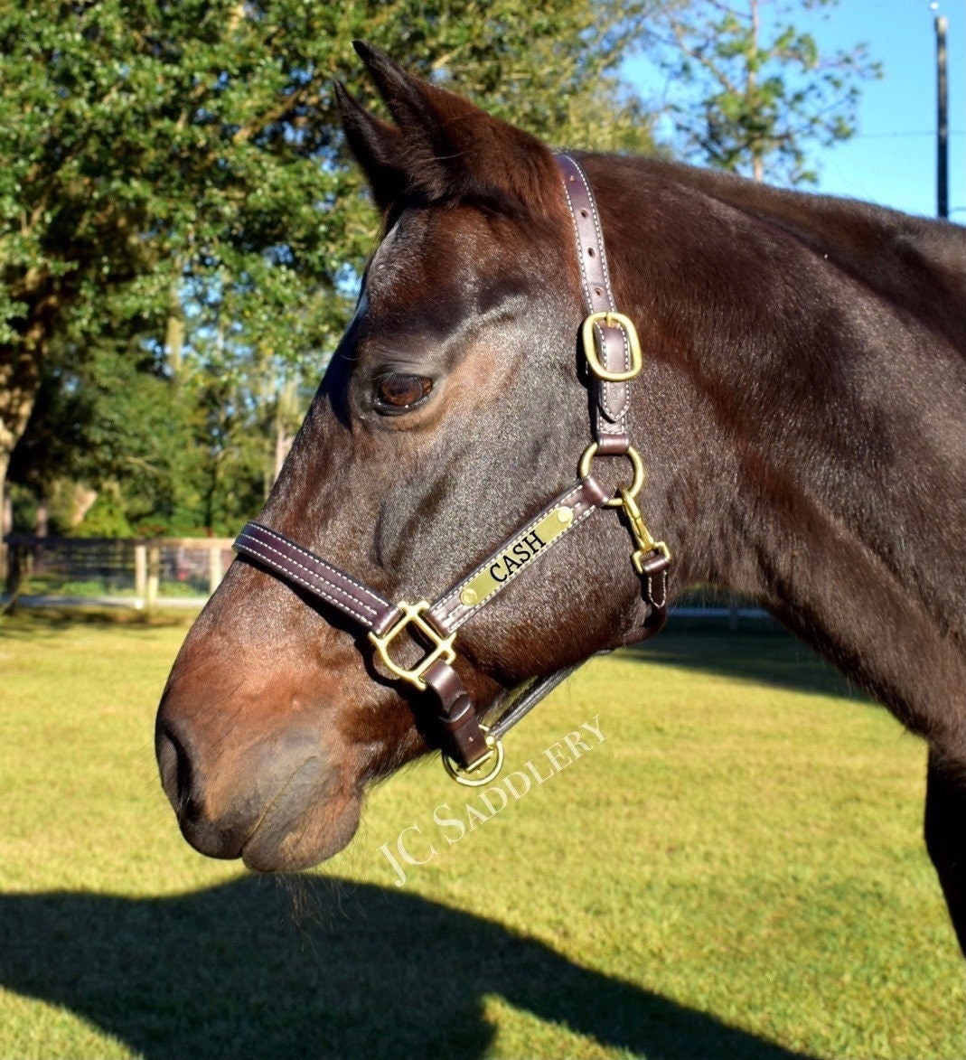 Traditional Triple Stitch Leather Horse Halter With Custom Engraved Solid Brass Nameplate - Made in The Usa