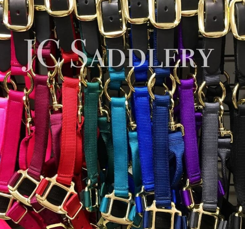 Padded Breakaway Nylon Horse Halter With Custom Brass Name Etsy