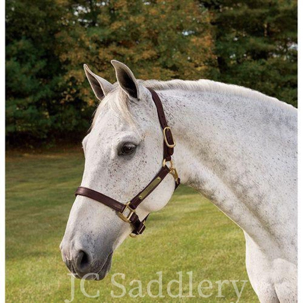 Leather Horse Halter With Custom Brass Nameplate - Made in The Usa
