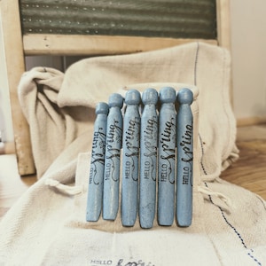 Handcrafted authentic washday pegs.