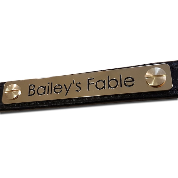 Solid brass horse headcollar nameplate 100mm x 15mm