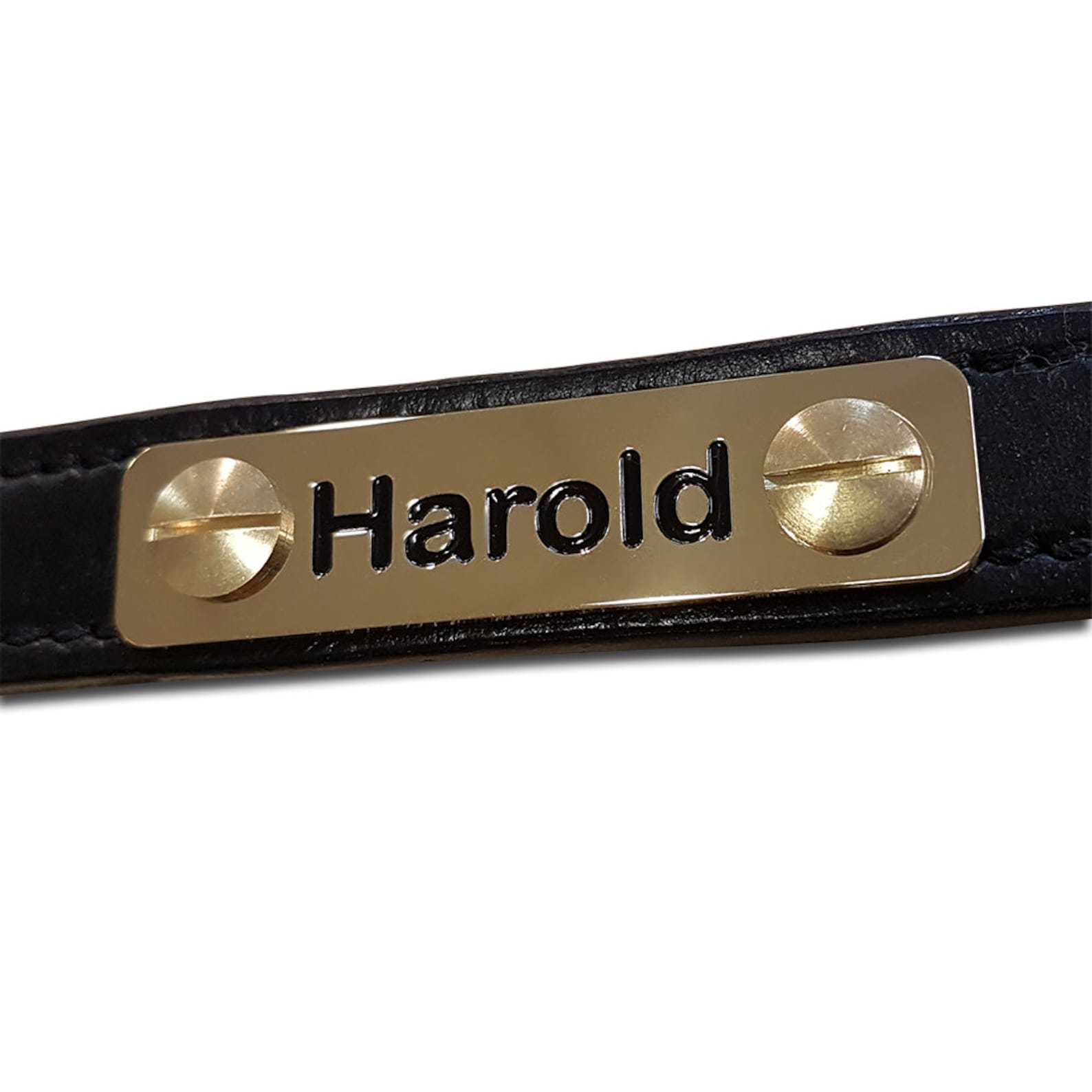 Solid brass horse headcollar nameplate 60mm x 15mm Etsy