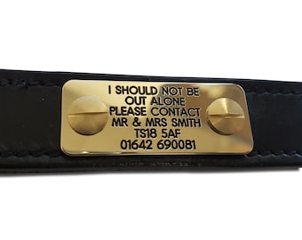 Deeply engraved brass dog ID nameplate, fixes directly to collar. 50mm x 20mm
