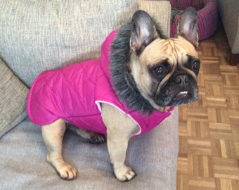 Waterproof French Bulldog Hoodie (Last Ones)