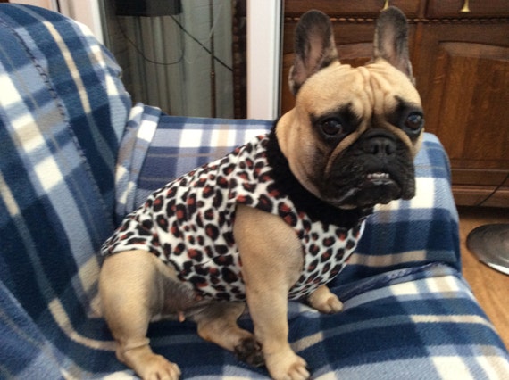 French bulldog sales fleece jacket