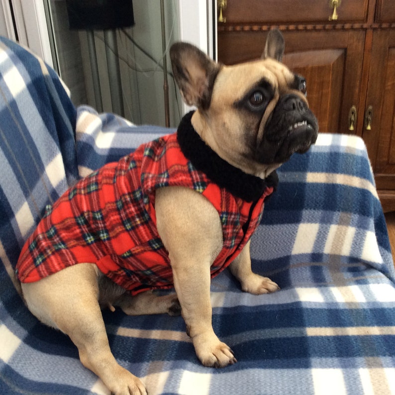 Red Tartan French Bulldog Coat Etsy UK