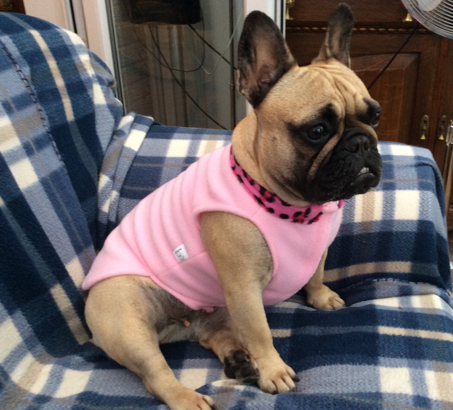 Pink French Bulldog Coat With Fur Leopard Collar Etsy UK
