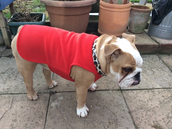Bulldog coats clearance