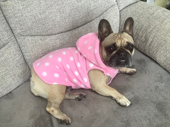 Frenchie bulldog hoodie 2025