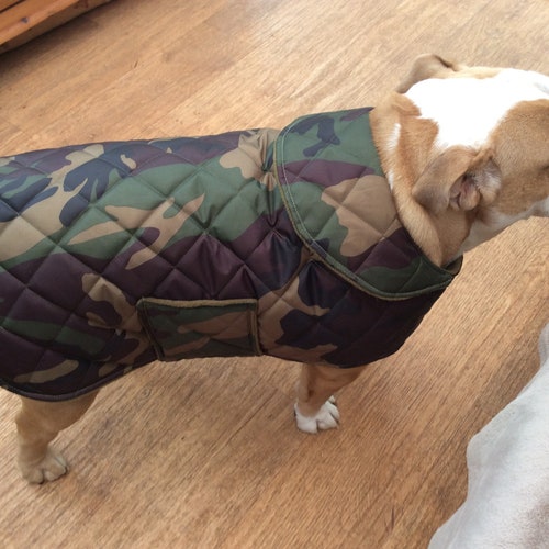 ENGLISH BULLDOG Winter Coat Dog Winter Jacket Waterproof Dog Etsy