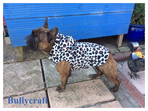 Leopard print hot sale french bulldog