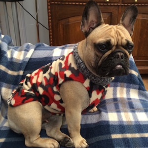 Red,Grey And Cream Camouflage French Bulldog Coat image 1