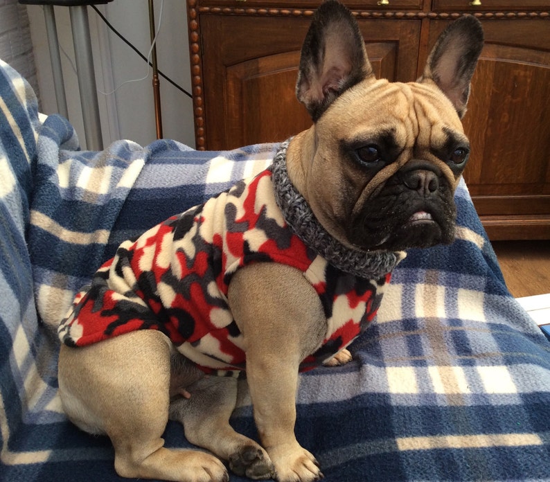 Red,Grey And Cream Camouflage French Bulldog Coat image 1
